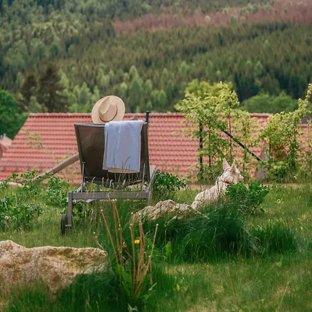 Tatil Evi In Mit Garten, Cleaning Included Schierke